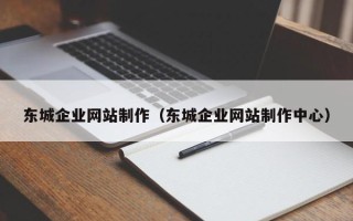 柳林东城企业网站制作（东城企业网站制作中心）